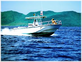 Martha's Vineyard Fishing